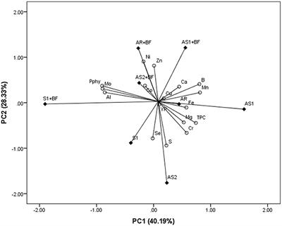 Common millet and soybean intercropping with bio-fertilizer as sustainable practice for managing grain yield and quality